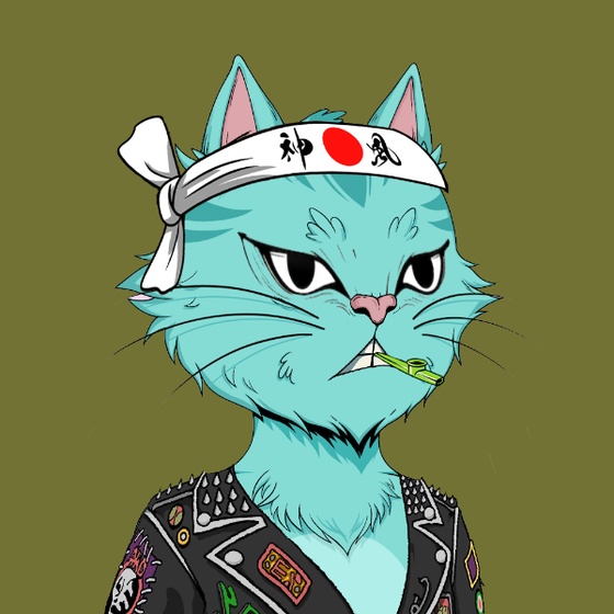 Angry Cat YC #649