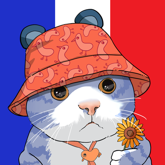 Puzzled cat #95