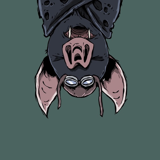 Moon Bats #5878
