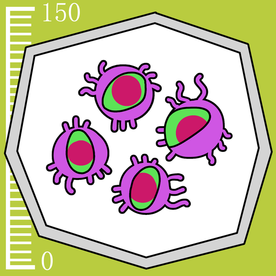 158