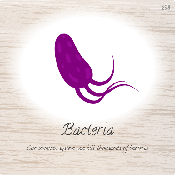 Bacteria - #293