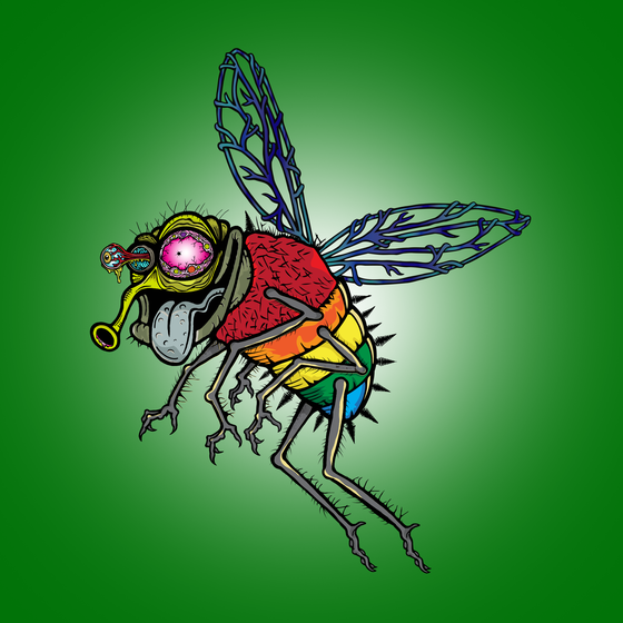 Funky Fly #5379