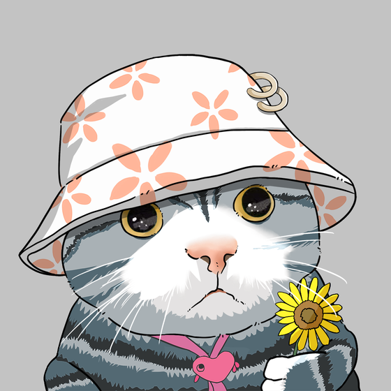 Puzzled cat #5849