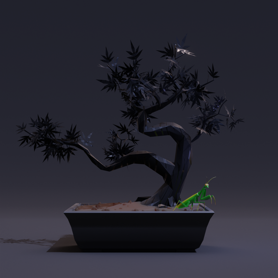 Bonsai #6268