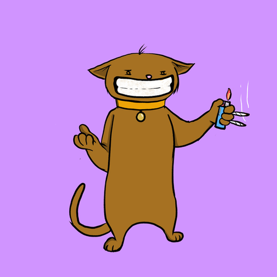 Blazed Cat #6621