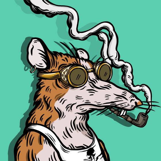 Wittebol del Havana