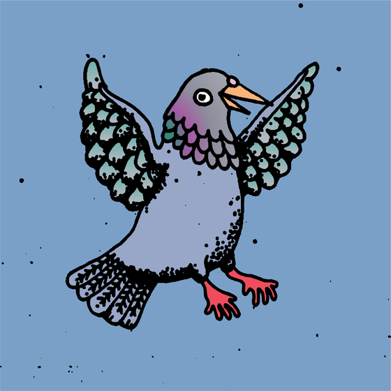 Hood Pigeon #2049