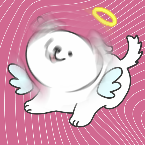DogDrill#17