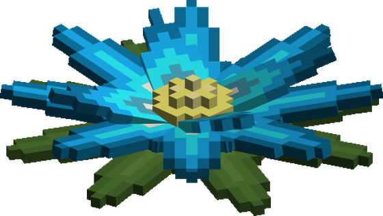 Blue Lotus flower
