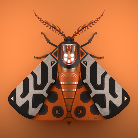 Tiger Moth