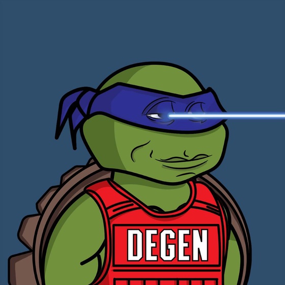 Degen Ninja Turtle #4650