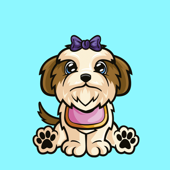 Shih Tzu 0607