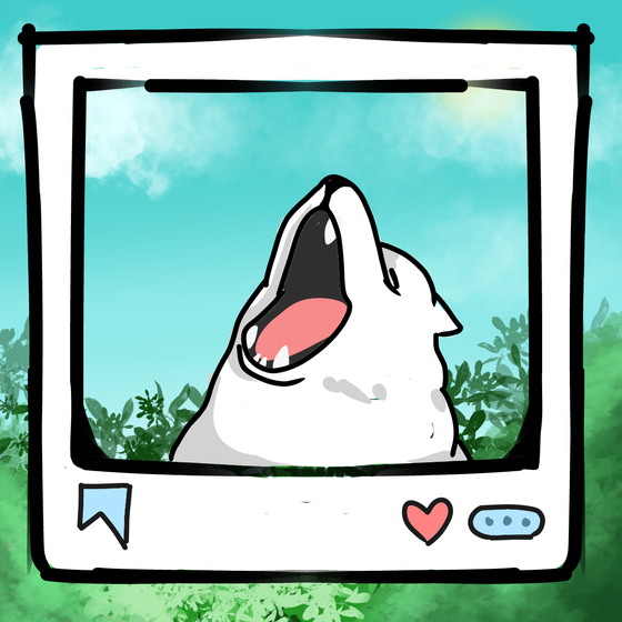 旅する犬 #869