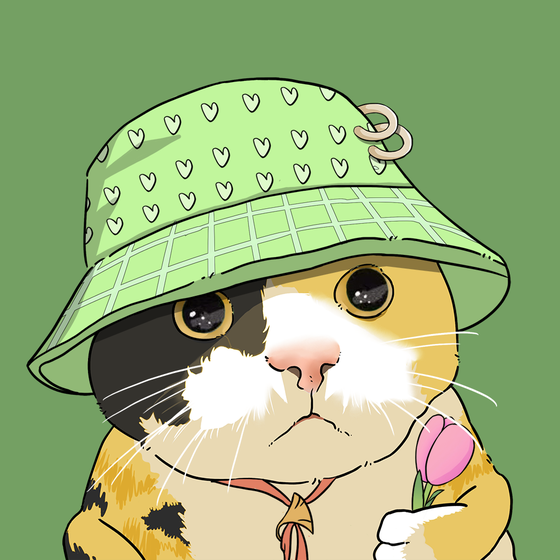 Puzzled cat #9208