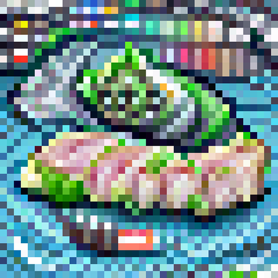 sushi tuna wasabi 