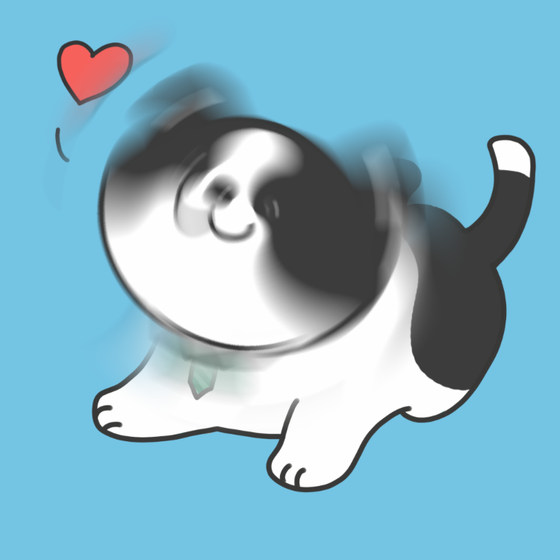 DogDrill#1444