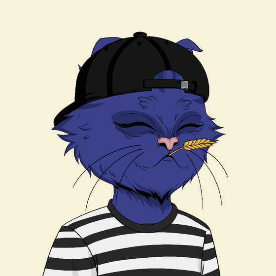 Not Angry Cat #7171