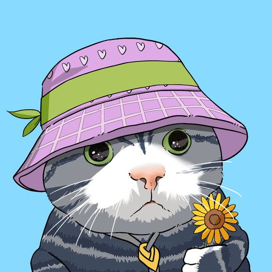 Puzzled cat #8693