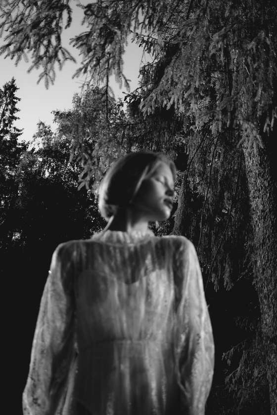 MYSTERIOUS FOREST #3