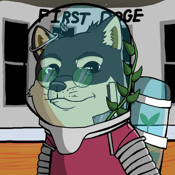 DogeX#5039
