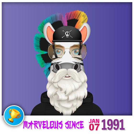 Zebra Birthday #1352