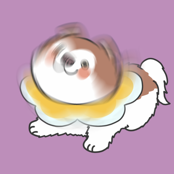 DogDrill#511