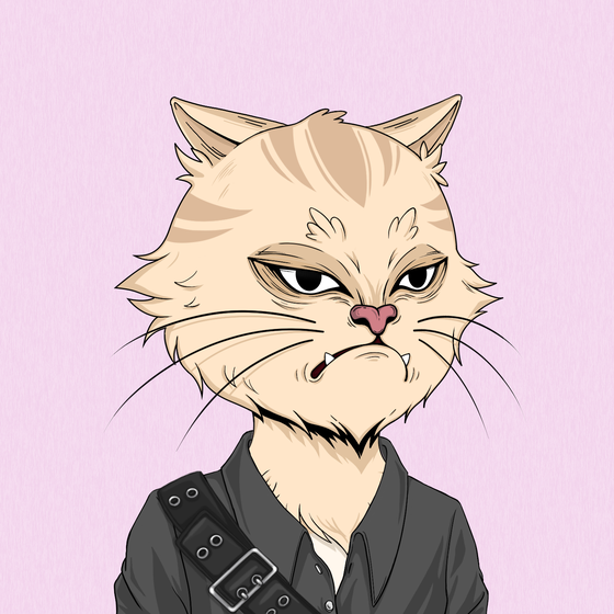 Angry Cat #2816