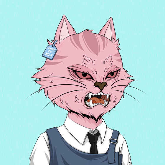 Angry Cat #2511