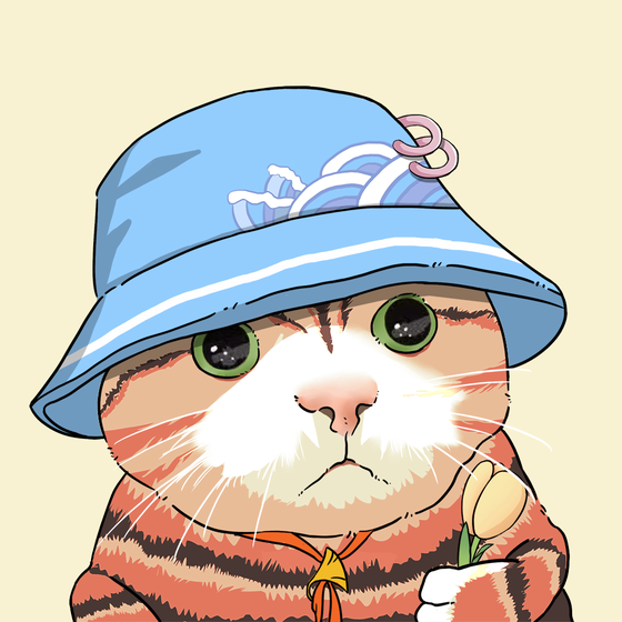 Puzzled cat #5087