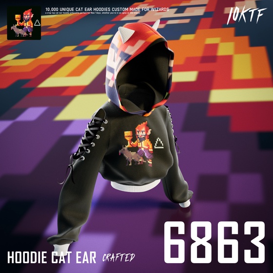 Wizard Cat Ear Hoodie #6863