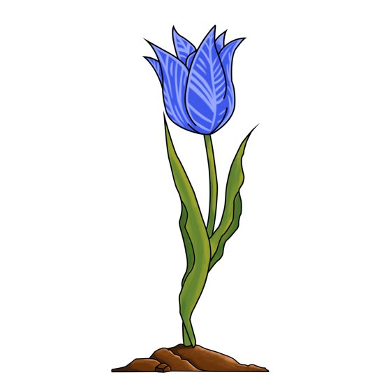 EtherTulip #08