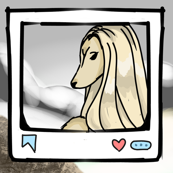 旅する犬 #731