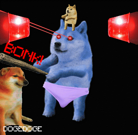 DOGEDOGE #213