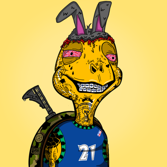 Baked Shellz #4476