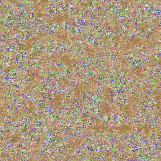 Distorted Partices #37