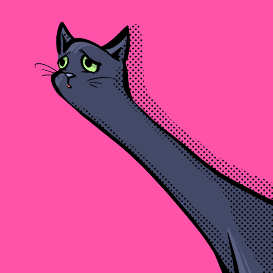 LoooongKitty#2839