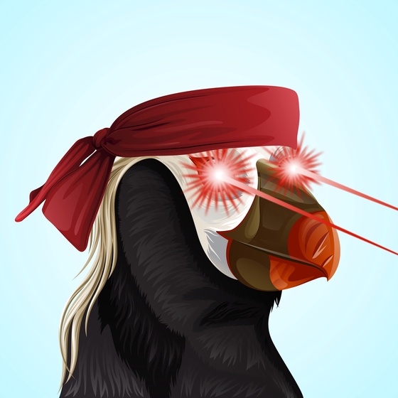 #158 Puffin