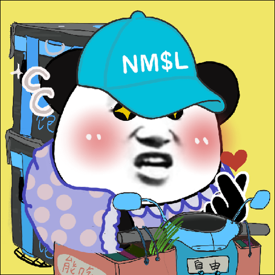 NMSL #521