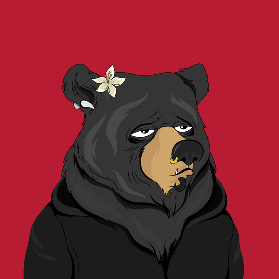 Fancy Bear #4504