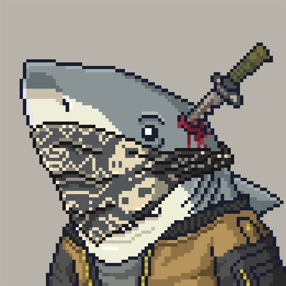 Outlaw Shark #7674