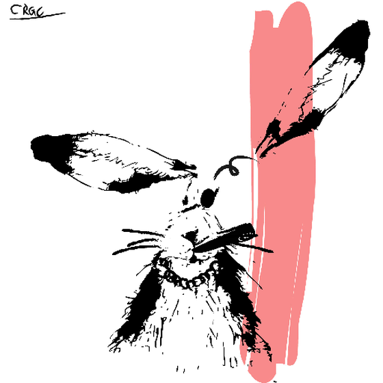 Careless Rabbit #191