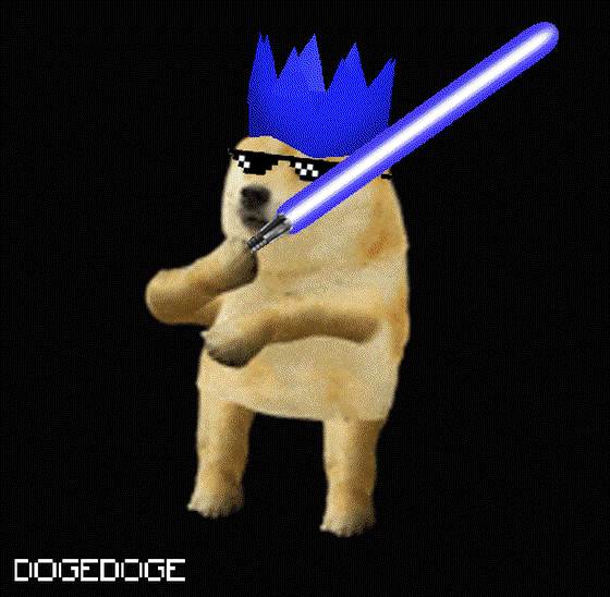 DOGEDOGE #622