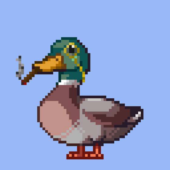 Mallard #6272