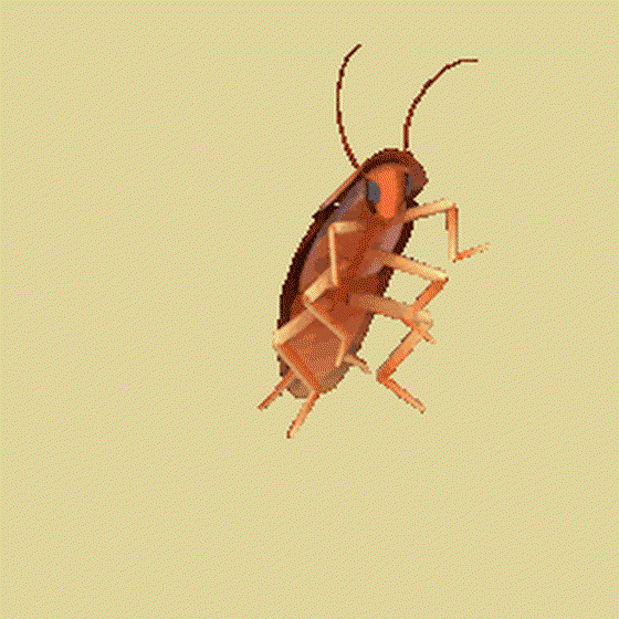 CockCockCockroach #542