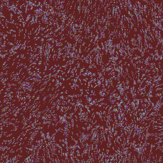 Distorted Partices #19