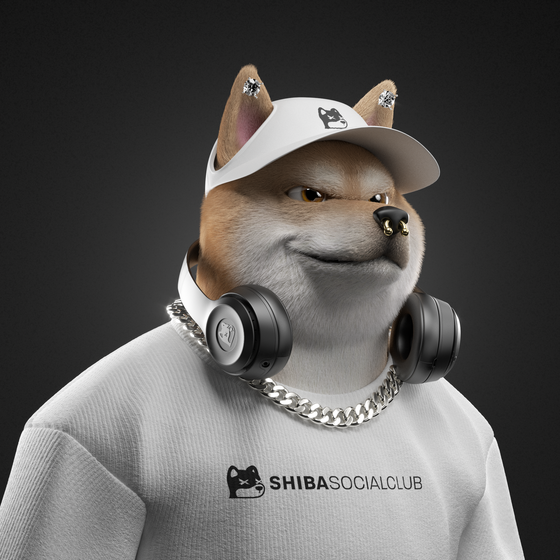 Shiba #2702