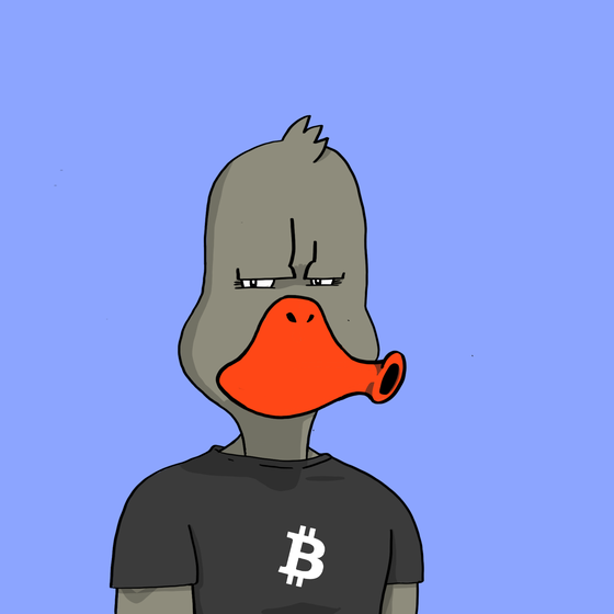 Duck #8038