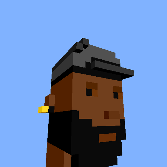 PunkVoxels #1008