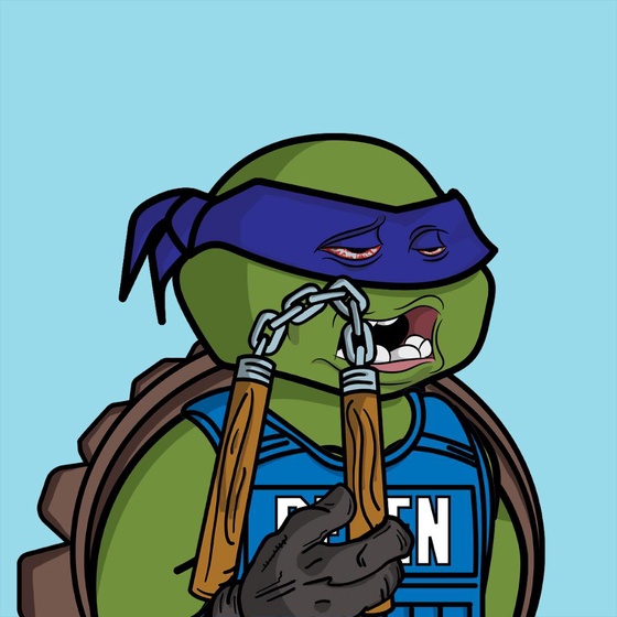 Degen Ninja Turtle #2360