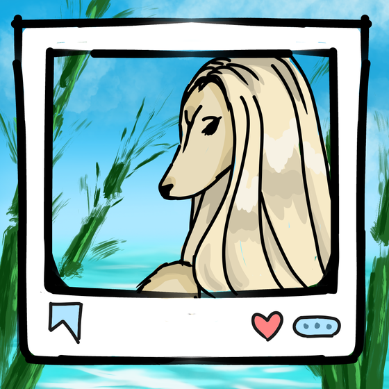 旅する犬 #207